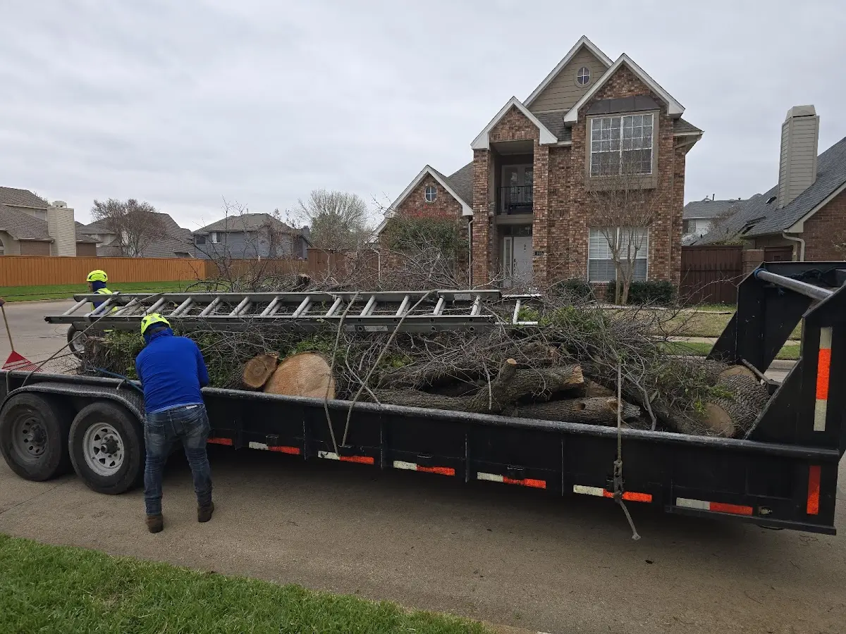 Expert Lot Clearing with proper safety equipment in Sunny Side